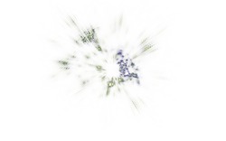 2014 05 03 Test 01-white.jpg